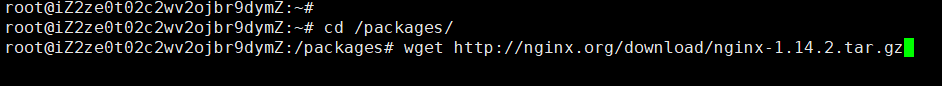 Wget下载Nginx命令截图